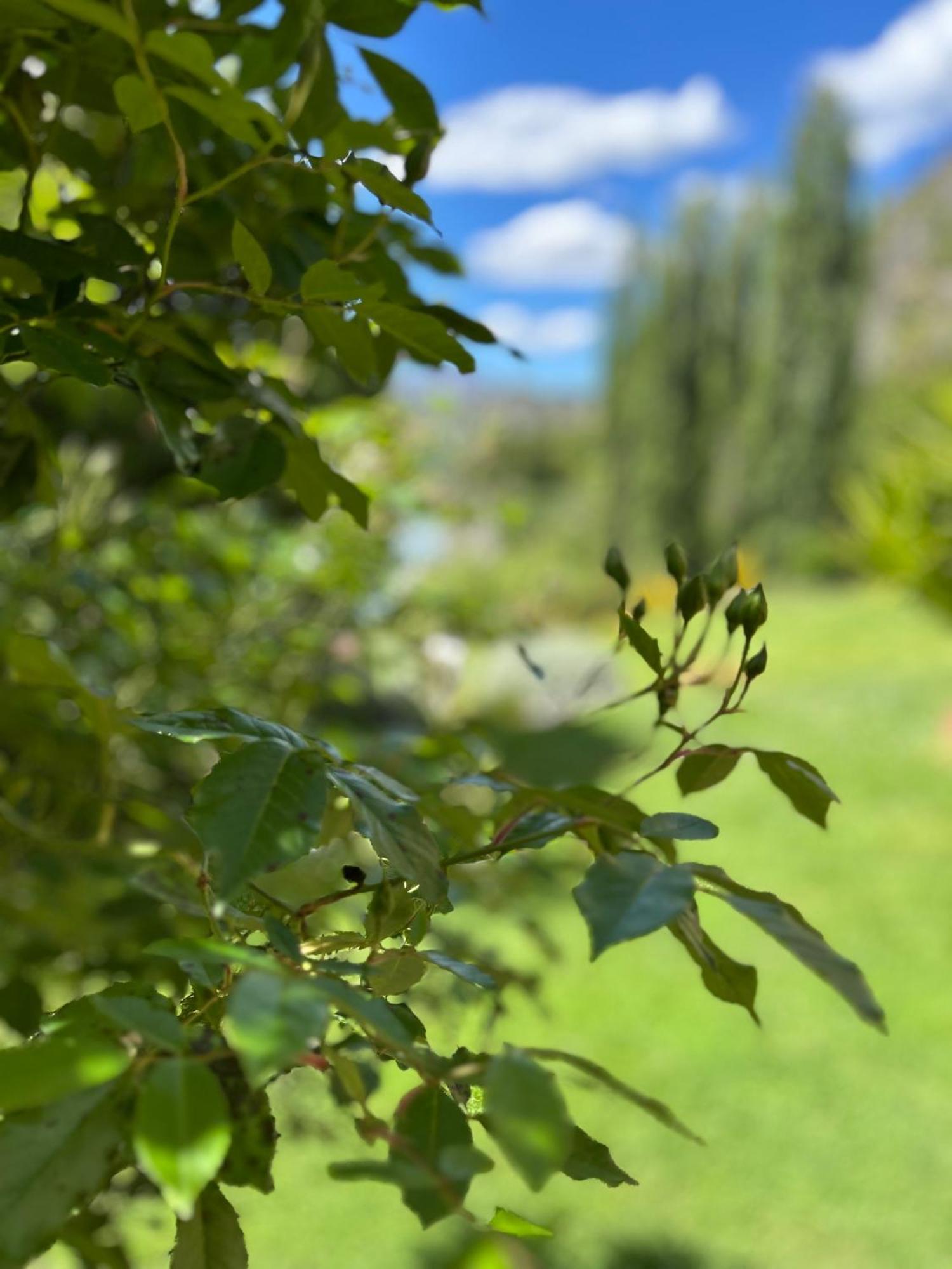 The Canyons B&B Queenstown Ngoại thất bức ảnh