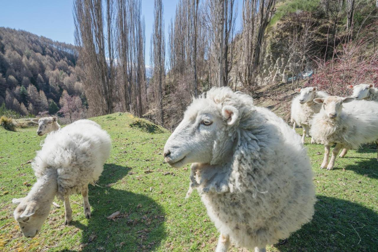 The Canyons B&B Queenstown Ngoại thất bức ảnh